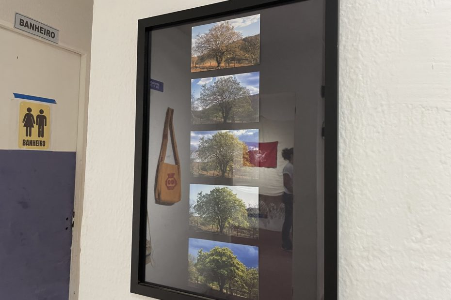 IMG_9185